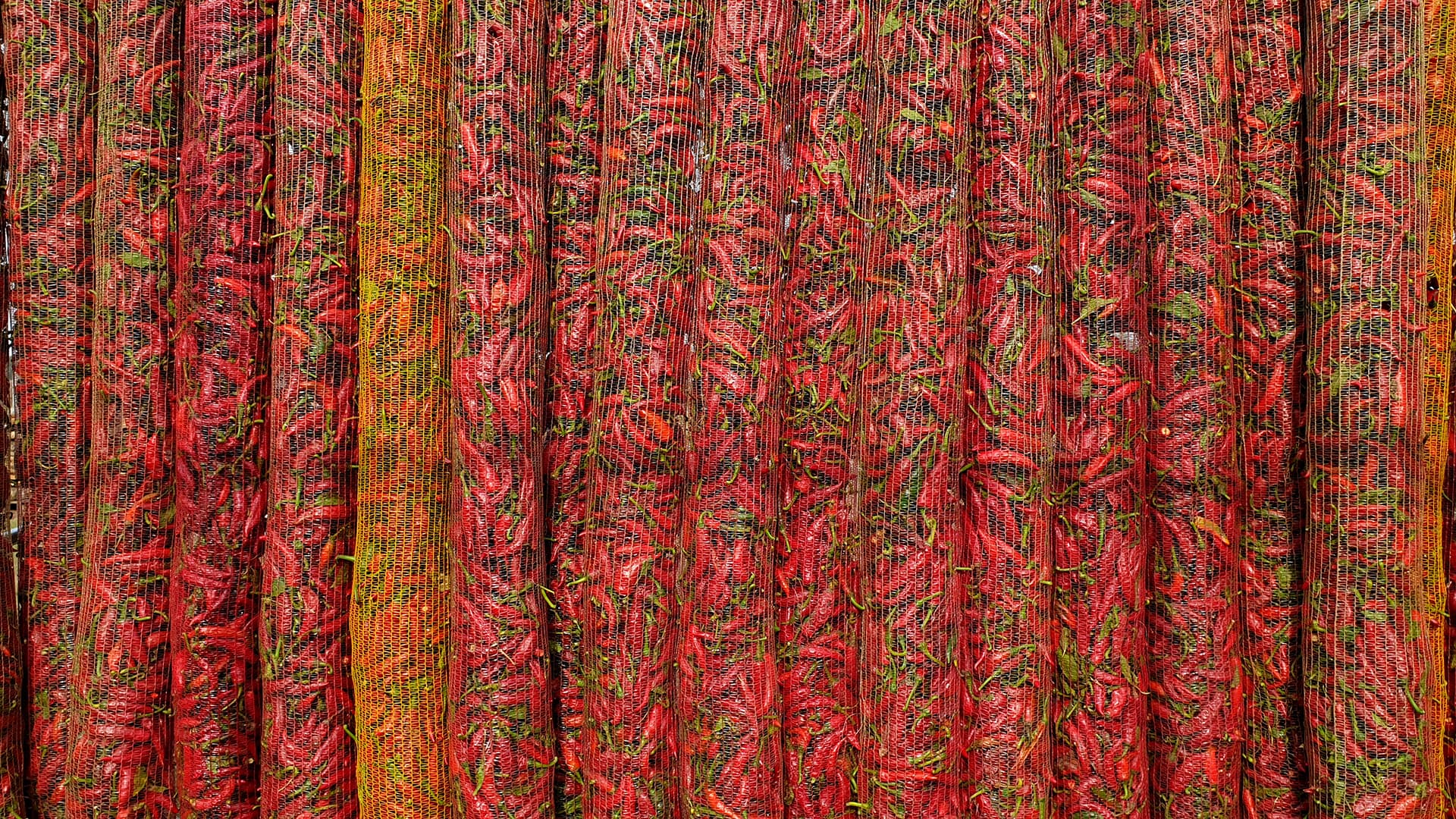 Moment, documentation, state (of mind). Photography became something serious.