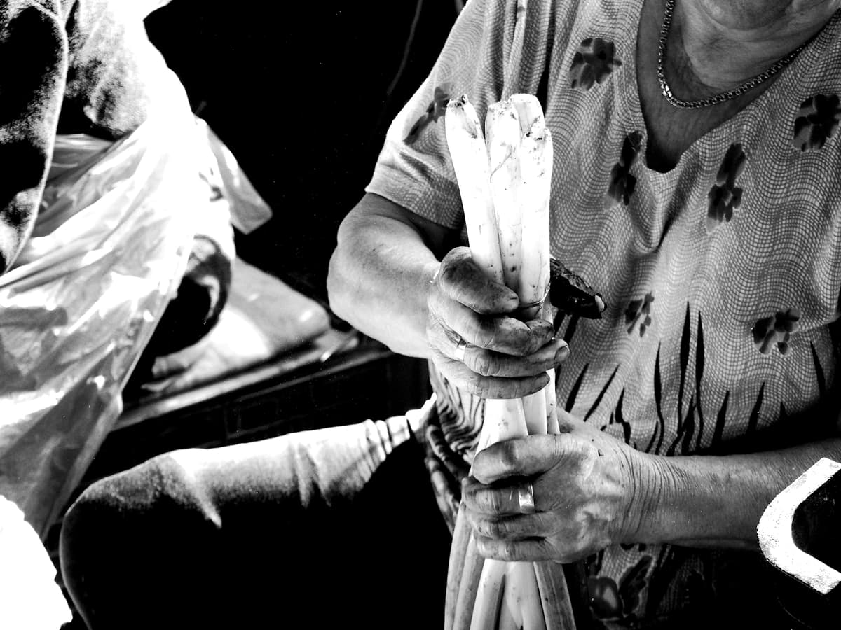 Worker's hands cleaning a fresh green onion.