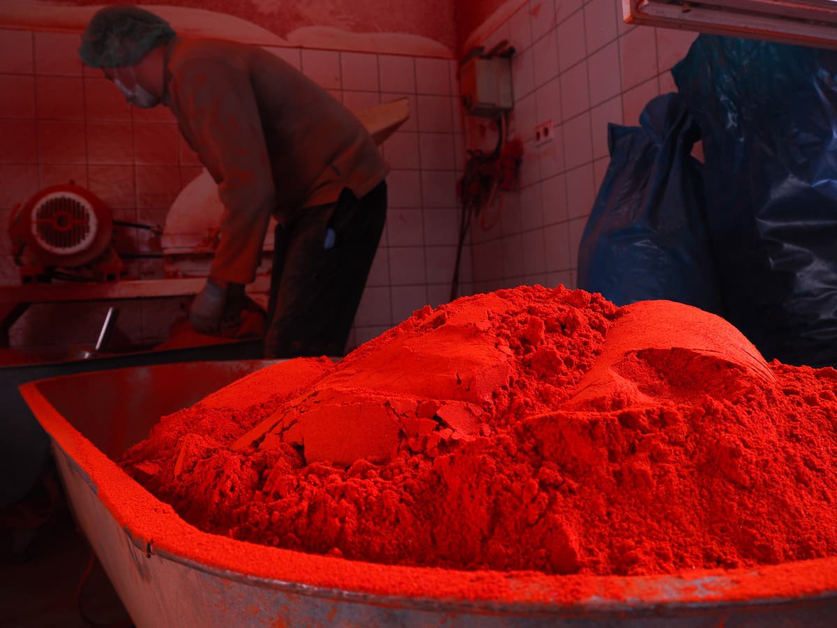 Mound of freshly ground bright red paprika powder.