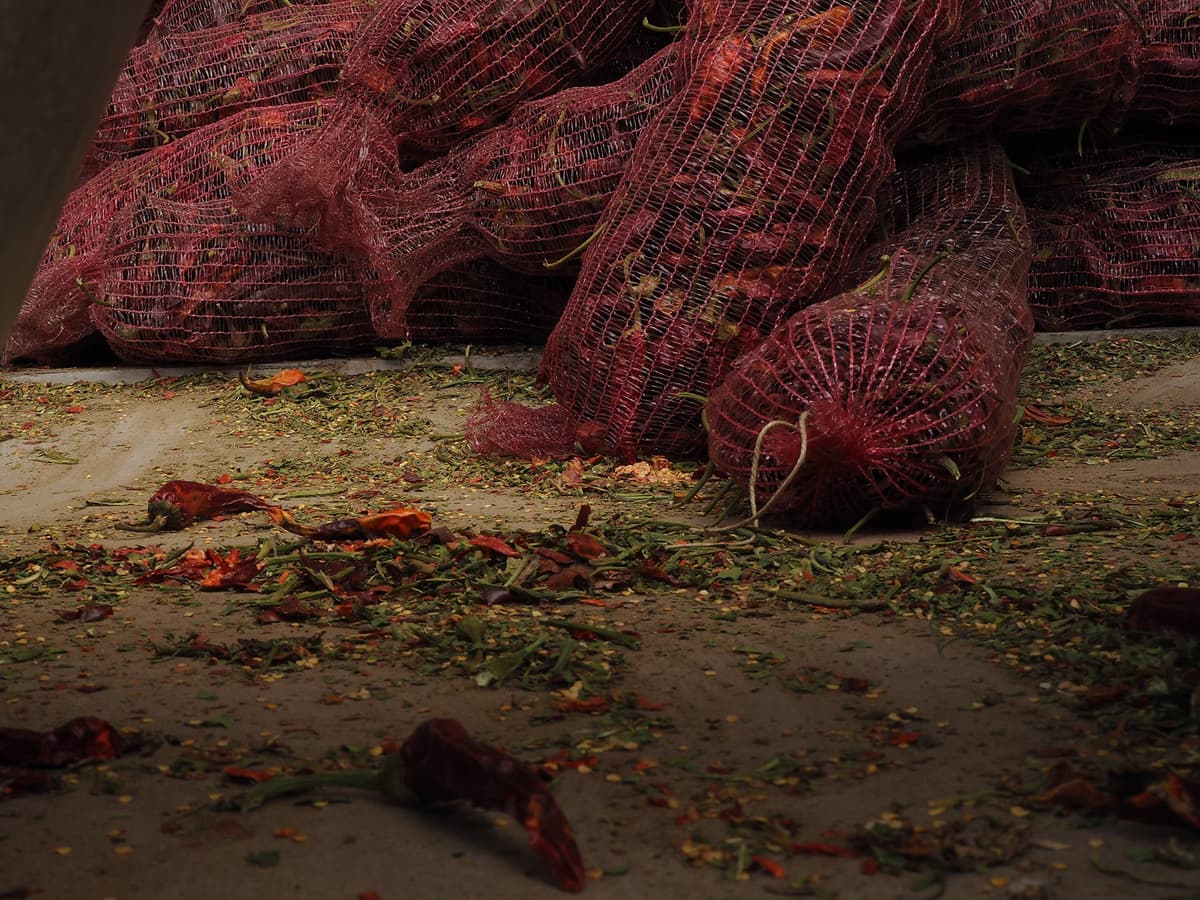 Piles of dried pepper bags on a concrete floor.