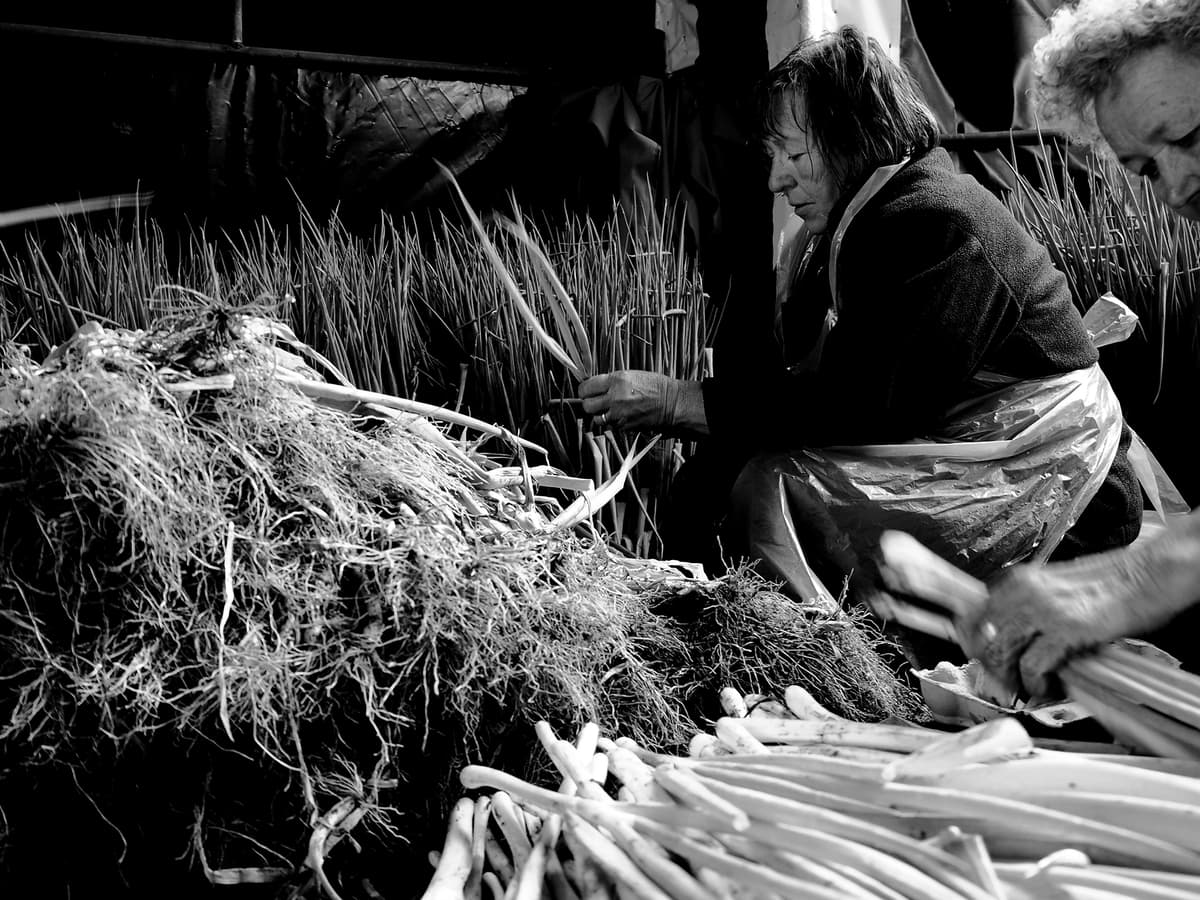 Woman in profile peeling a large pile of onions.