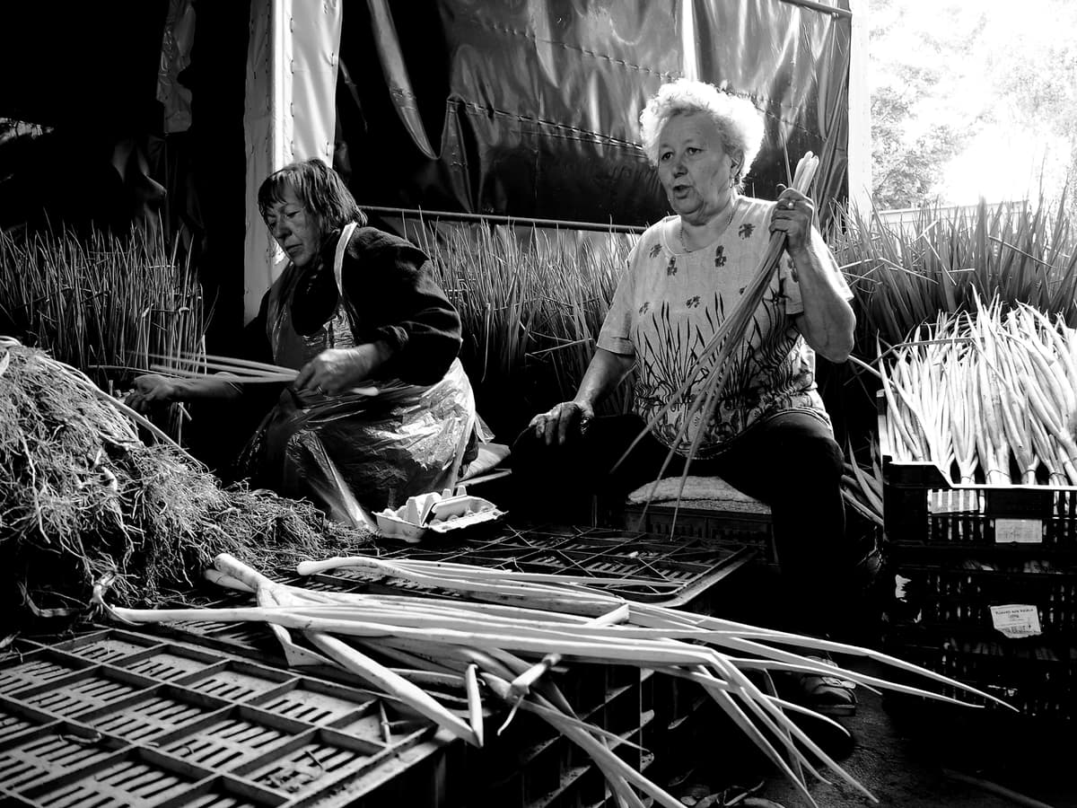 Two women cleaning green onions in a shed.
